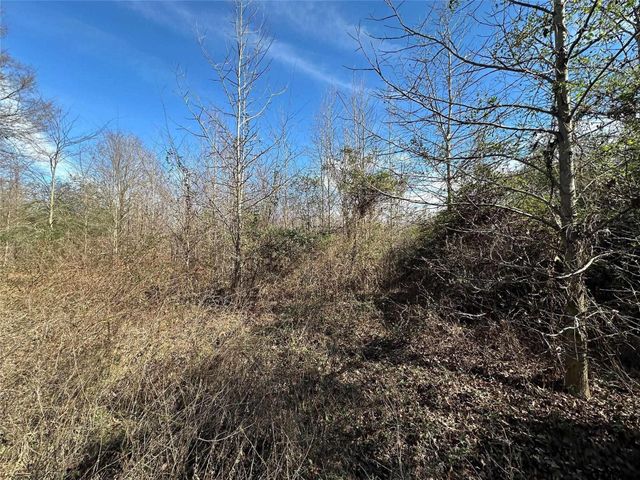 0000 County Road 2324, Como, TX 75431