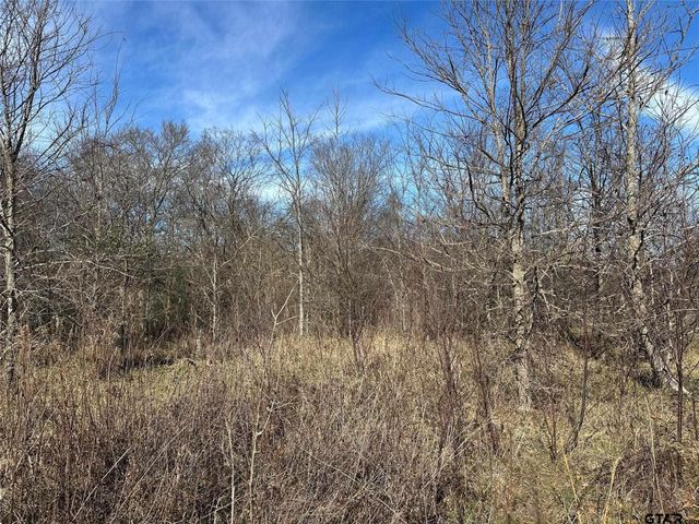 0000 County Road 2324, Como, TX 75431