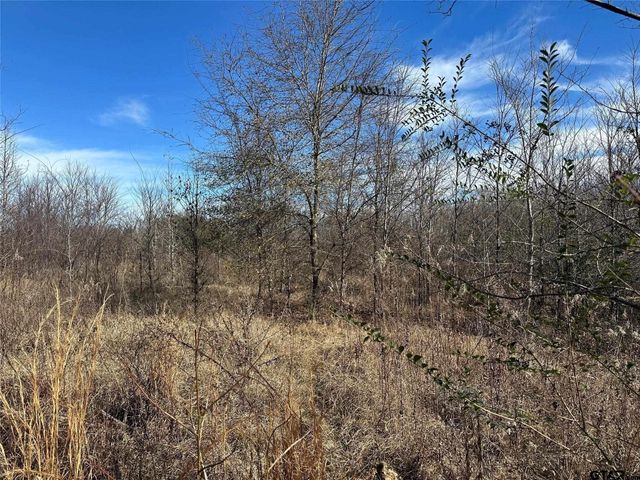0000 County Road 2324, Como, TX 75431