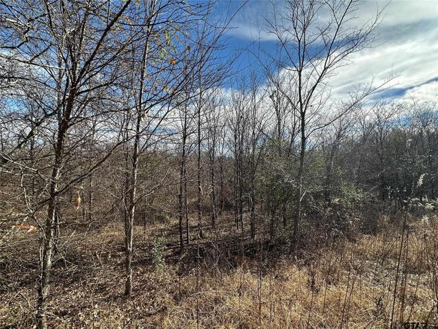 0000 County Road 2324, Como, TX 75431