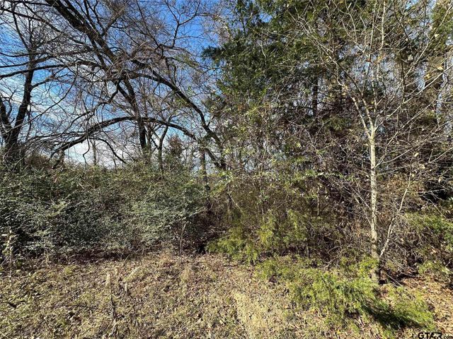 0000 County Road 2324, Como, TX 75431