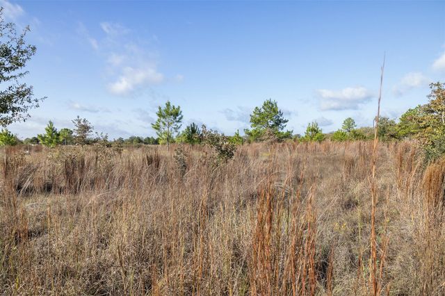 1759 Gotier Trace RD, Paige, TX 78659