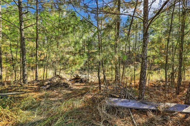 27684 Rio Blanco Drive, Splendora, TX 77372