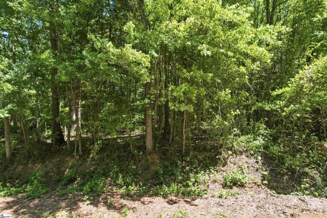 0 Perry Road, Greer, SC 29651