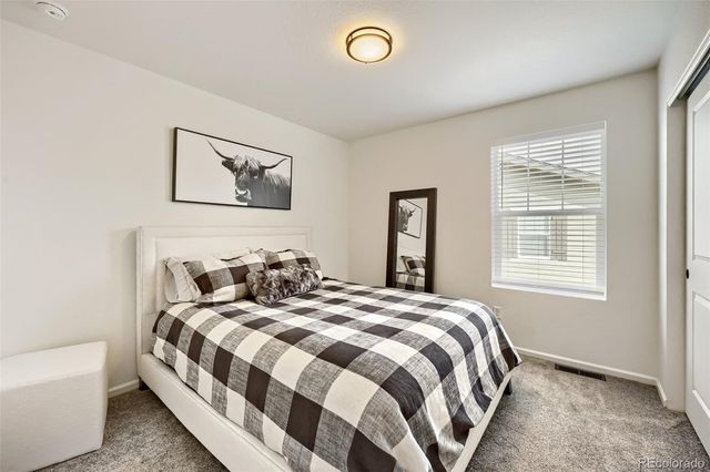 209 Felicity Loop, Castle Rock, CO 80109