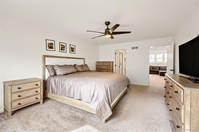209 Felicity Loop, Castle Rock, CO 80109
