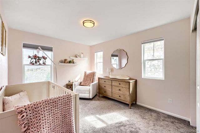 209 Felicity Loop, Castle Rock, CO 80109