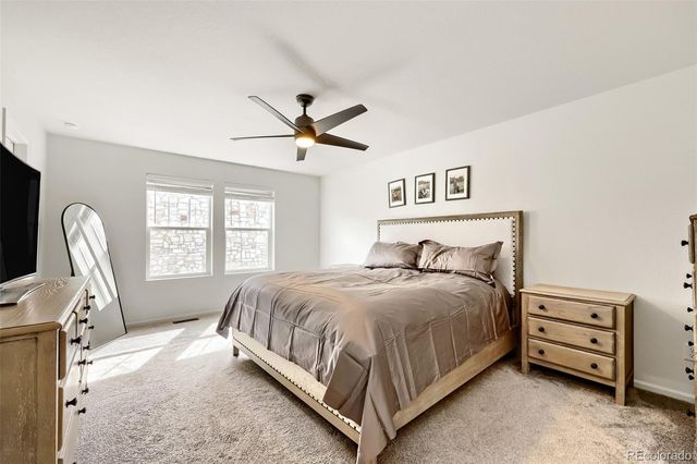 209 Felicity Loop, Castle Rock, CO 80109