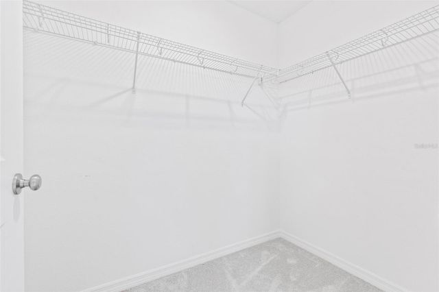 14942 WINDFLOWER ALLEY, Winter Garden, FL 34787