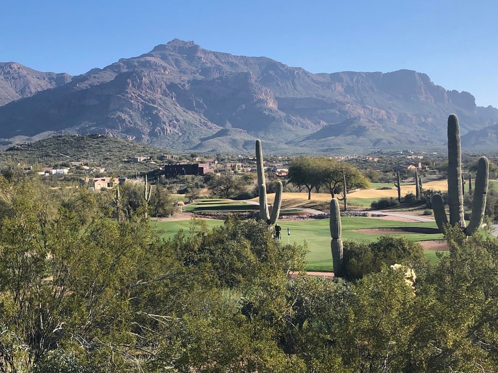 9591 E TEE BOX Court 14, Gold Canyon, AZ 85118 — photo 4