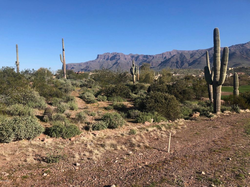 9591 E TEE BOX Court 14, Gold Canyon, AZ 85118 — photo 5