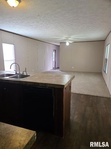 4427 HARVEY Street, Coello, IL 62825