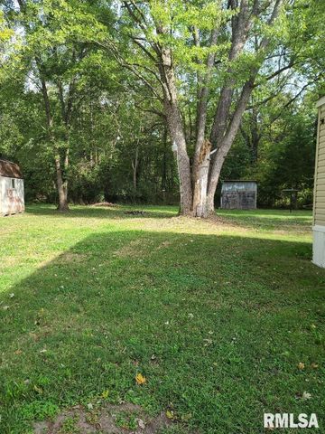 4427 HARVEY Street, Coello, IL 62825