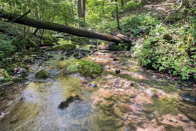 408 Mountain Creek Way, Ellijay, GA 30536