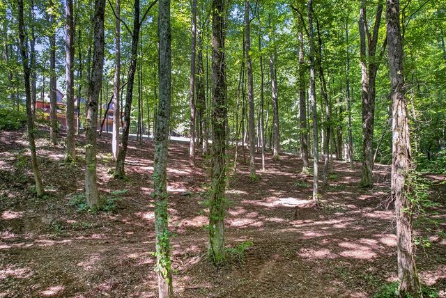 408 Mountain Creek Way, Ellijay, GA 30536