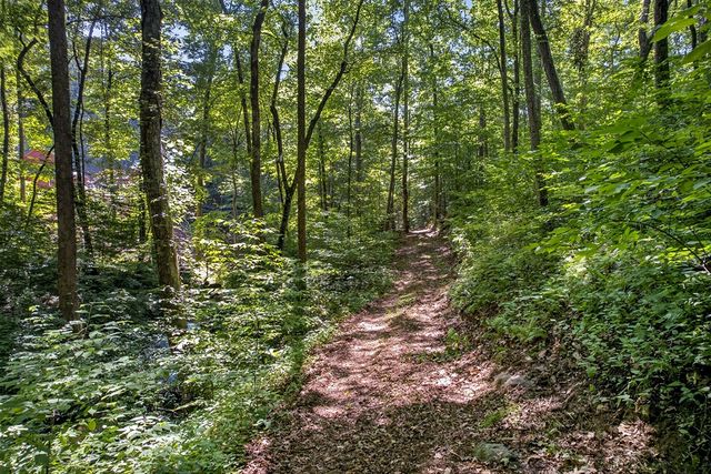 408 Mountain Creek Way, Ellijay, GA 30536