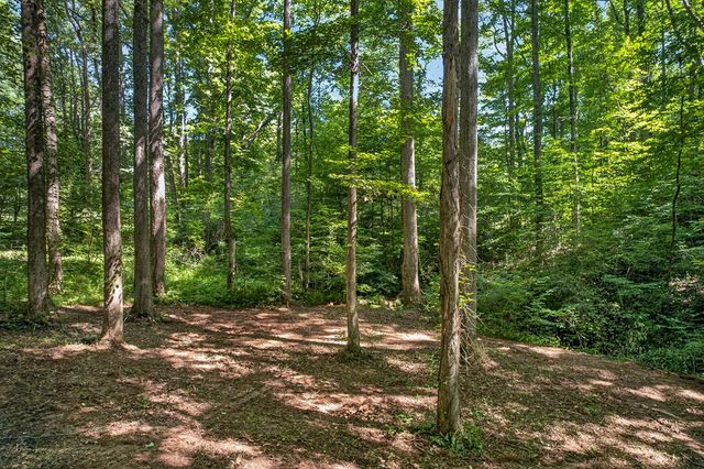 408 Mountain Creek Way, Ellijay, GA 30536