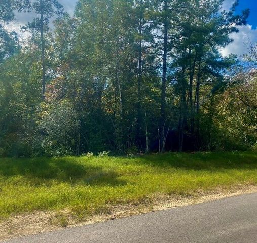 15629 Forest Knoll Road, Willis, TX 77378