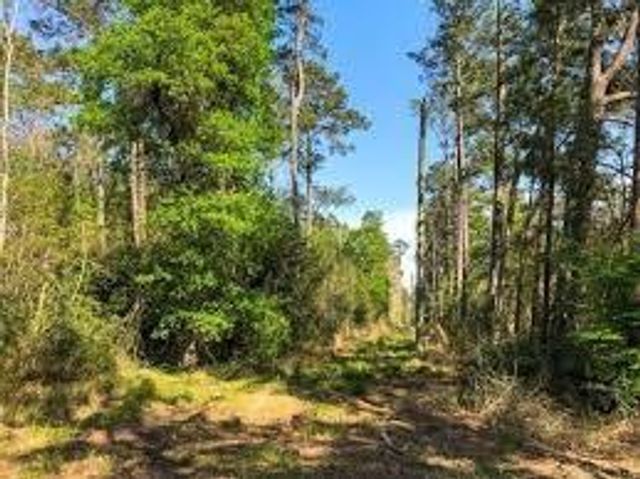 9388 Hwy 105, Cleveland, TX 77327