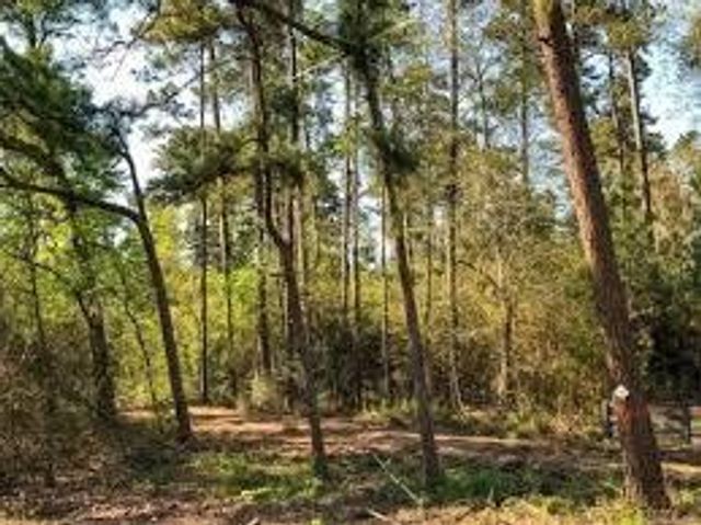 9388 Hwy 105, Cleveland, TX 77327