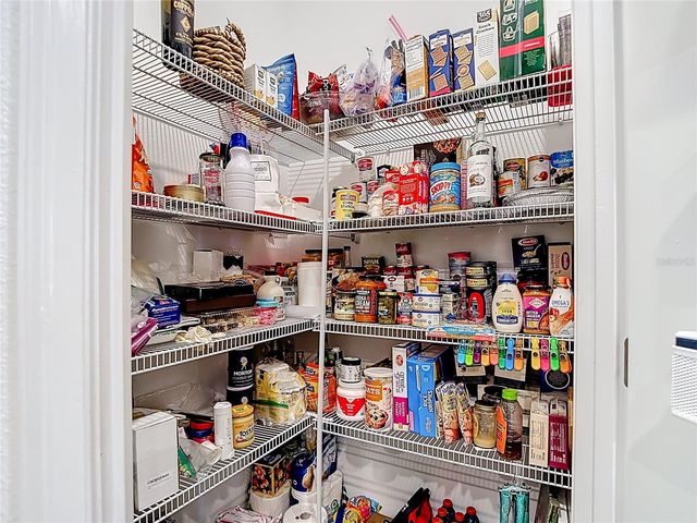 10021 CAMPANULA COURT, Land O Lakes, FL 34637