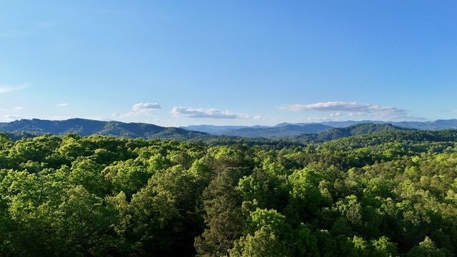 Lot 8 Red Silo, Murphy, NC 28906