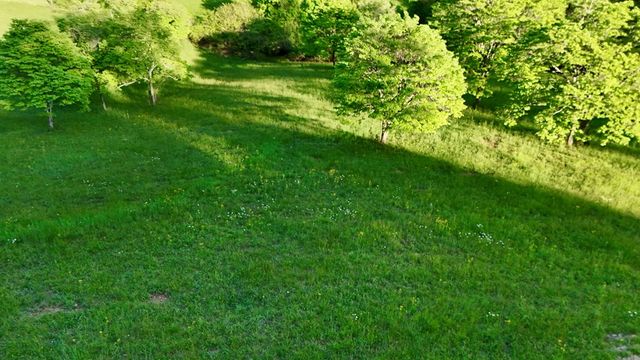 Lot 8 Red Silo, Murphy, NC 28906