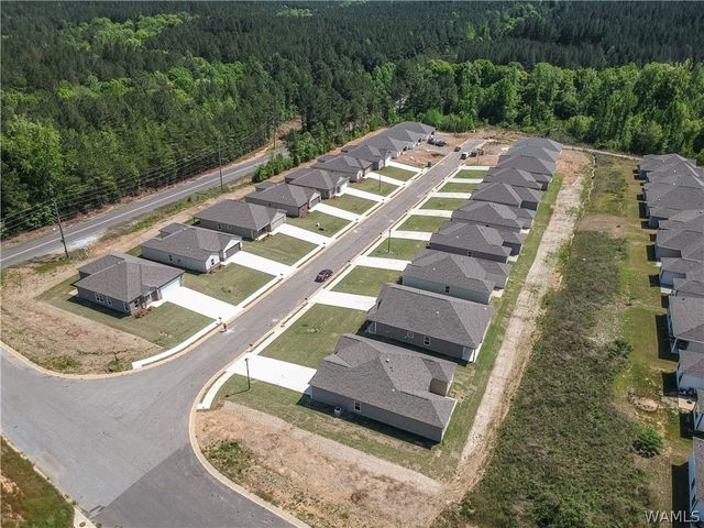 10375 Squires, Vance, AL 35490