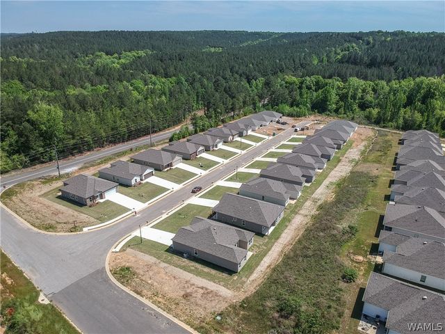 10375 Squires, Vance, AL 35490