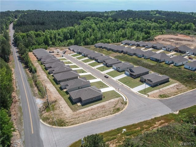 10375 Squires, Vance, AL 35490