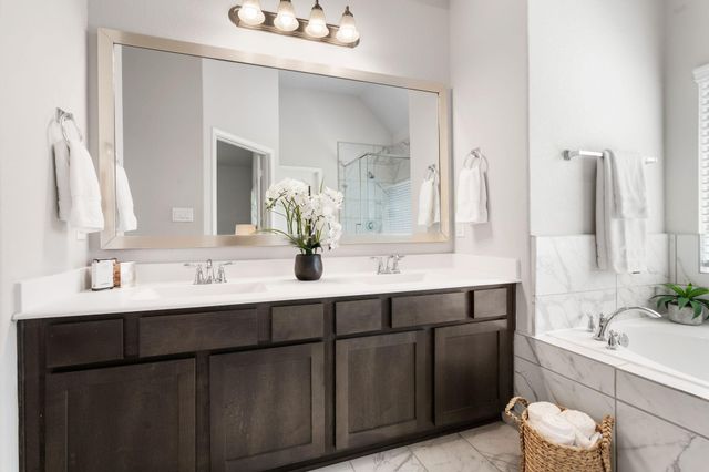 239 Little Dog Drive, Montgomery, TX 77356