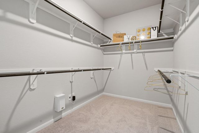 239 Little Dog Drive, Montgomery, TX 77356