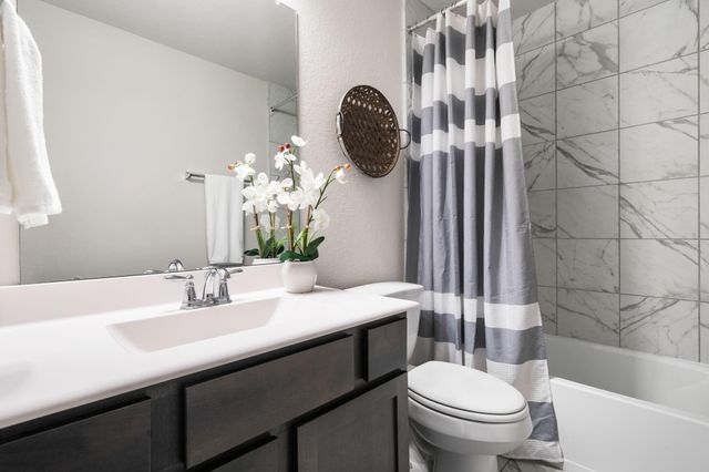 239 Little Dog Drive, Montgomery, TX 77356