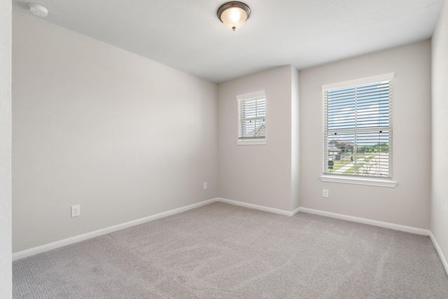 239 Little Dog Drive, Montgomery, TX 77356