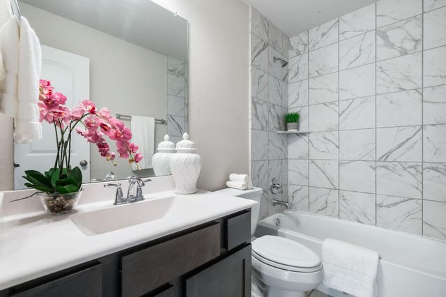 239 Little Dog Drive, Montgomery, TX 77356