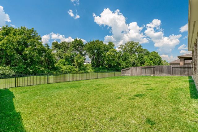 239 Little Dog Drive, Montgomery, TX 77356