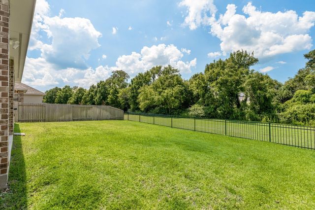 239 Little Dog Drive, Montgomery, TX 77356