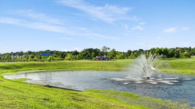 239 Little Dog Drive, Montgomery, TX 77356