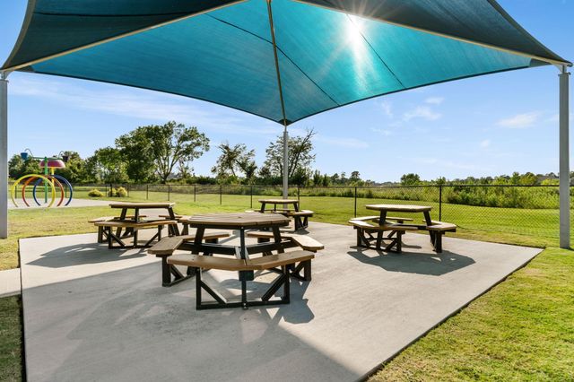 239 Little Dog Drive, Montgomery, TX 77356