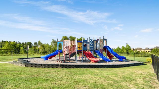 239 Little Dog Drive, Montgomery, TX 77356