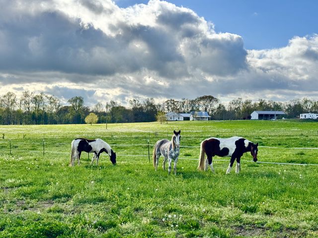 11250 Shelbyville Rd, Morrison, TN 37357