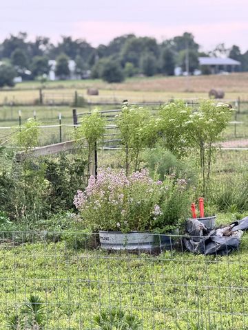 11250 Shelbyville Rd, Morrison, TN 37357