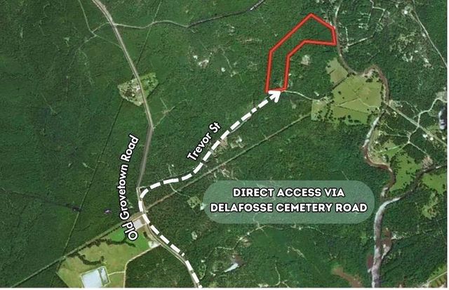 0 Delafosse Cemetery Road, Onalaska, TX 77360