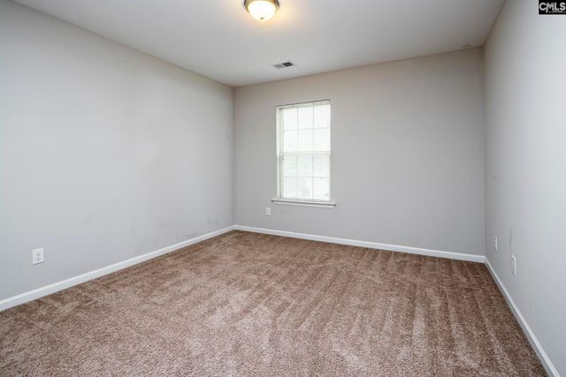 118 Pacific Avenue, Chapin, SC 29036