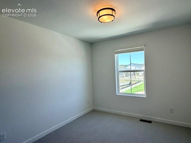 17784 Brass Buckle Way, Monument, CO 80132