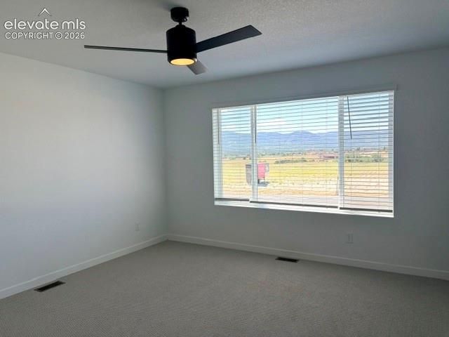 17784 Brass Buckle Way, Monument, CO 80132