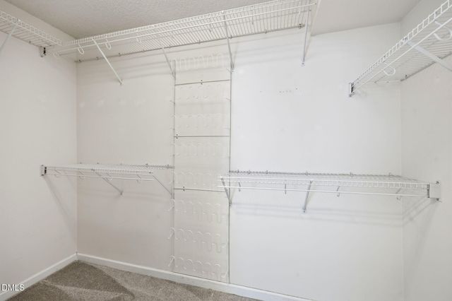 11905 Appaloosa Run E, Raleigh, NC 27613