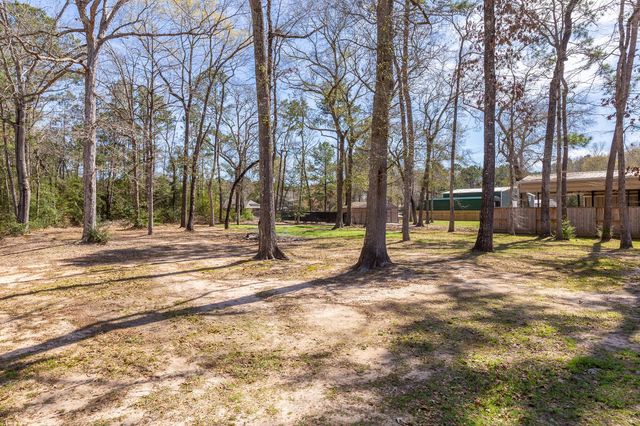 22857 Zambesi Drive Drive, Porter, TX 77365