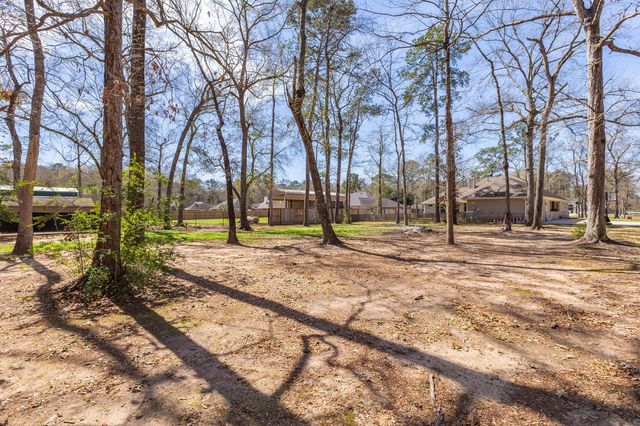 22857 Zambesi Drive Drive, Porter, TX 77365