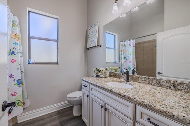 4950 DIAMONDS PALM, Wesley Chapel, FL 33543